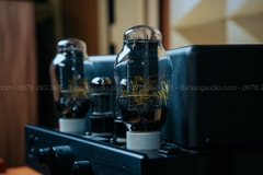 Amply Đèn Cary Audio CAD-300SEI