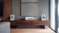 Amply Denon PMA-3000NE