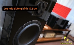 Loa Gauder Akustik Arcona 100 MK II 
