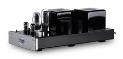 Power Monoblock Cary Audio CAD-805RS