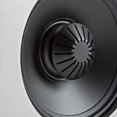 Loa Definitive Technology Demand D9