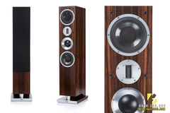 Loa ProAc K6 Signature