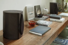 Loa Sonus Faber Duetto