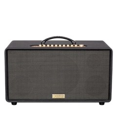 Loa Acnos Flac 36 Ver2