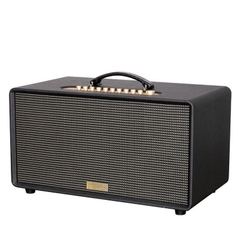 Loa Acnos Flac 36 Ver2