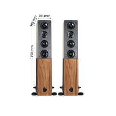 Loa Audio Physic Cardeas plus+