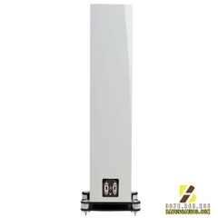 Loa Fyne Audio F501SP