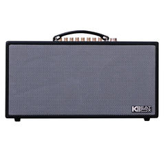 Loa Xách Tay Acnos CS450 Alpha (2 Bass 16.5cm, 150W, Kèm 2 Micro)