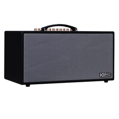 Loa Xách Tay Acnos CS450 Alpha (2 Bass 16.5cm, 150W, Kèm 2 Micro)