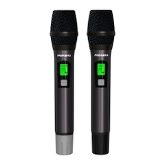 Amply tích hợp Vang số PARAMAX Z-A450
