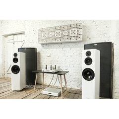 Loa Pylon Audio Sapphire 31