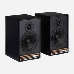 Loa Ruark Sabre-R