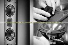 Scansonic MB6 B chính hãng Denmark