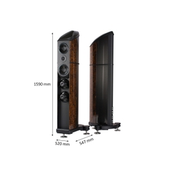 Loa Wilson Benesch Resolution