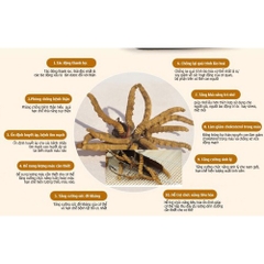 Đông trùng hạ thảo Royal Gold 420 viên - Nhật Bản