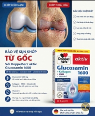 Viên uống Doppelherz Glucosamin 1600 Kollagen MSM Đức 40 viên- Đức