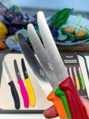 Set 6 dao răng cưa Silver- Đức