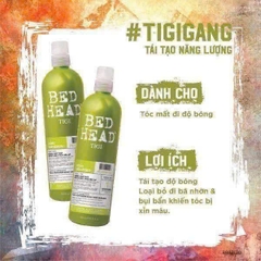 Cặp gội xả Tigi xanh lá cho tóc thường, tóc dầu- Mỹ