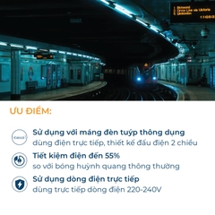 Đèn LED Tuýp Philips LEDtube DE 600mm 9W 900lm T8 G13