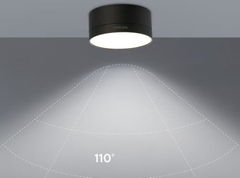 Đèn Led Ốp Trần Philips DL212 EC RD 100 9W W/B HV 03 Đường kính 100 mm