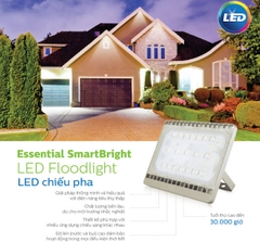 Đèn LED Pha Philips BVP161 LED60 70W 220-240V WB GREY