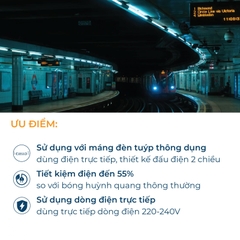 Đèn LED Tuýp Philips LEDtube DE HO 600mm 10W T8 G13 C