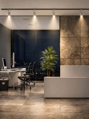 Đèn Rọi Ray Philips ST033T G2 WV 20W