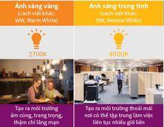 Đèn Spotlight Philips 59776 POMERON 070 7W WH recessed LED