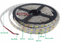 Đèn Led Dây Philips LS155 G2 LED8/CW  L5000 24V - 33W/5M