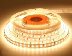 Đèn LED Dây Philips LS155 G3 LED16 15.5W 5M 24V - 77.5W/5M