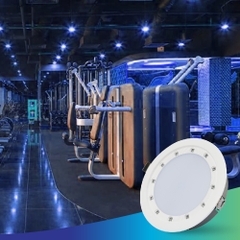 ĐÈN LED ÂM TRẦN DOWNLIGHT DIỆT KHUẨN AT21.UV 135/14W