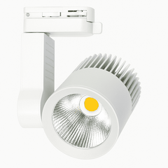 ĐÈN LED RỌI RAY BERYL 30W KINGLED DTL-30SS-V/TT/T-T