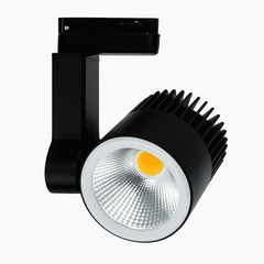 ĐÈN LED RỌI RAY BERYL 30W KINGLED DTL-30SS-V/TT/T-T