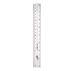 Thước thẳng Thiên Long TL SR 022 20cm PVC (Dẻo)