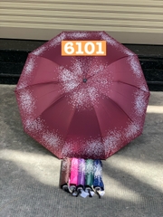Dù chấm 6101 *82* (Bộ)