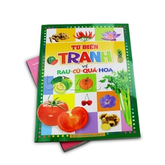 Từ điển tranh về Rau - Củ - Quả - Hoa B40