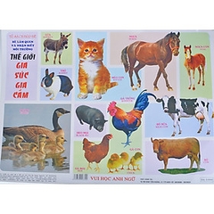 Tranh: Quốc kỳ các nước trên thế giới