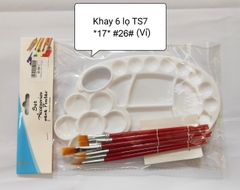 Khay 6 lọ TS7 *17* (Vỉ)