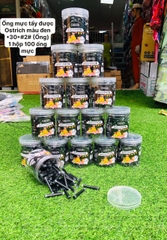 Ống mực tẩy được 0025 (Ống) - xanh - Hộp 30