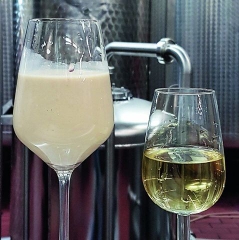 Phương pháp loại bỏ cặn lắng , cặn lơ lửng bằng đất sét  BENTONITE trong rượu vang