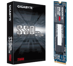 Ổ cứng SSD GIGABYTE M2 2280 256GB NVMe PCI-Express 3.0 x4 (GP-GSM2NE3256GNTD)