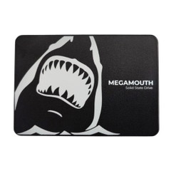 Ổ SSD SSTC MEGAMOUTH M110 256GB (SATA3/ 2.5Inch/ 550MB/s/ 470MB/s)