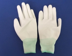 Găng tay phủ lòng trắng