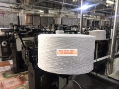 Sợi cotton OE