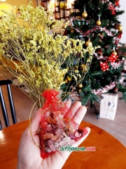 TÚI ĐỎ ĐÁ THIÊN CẦM