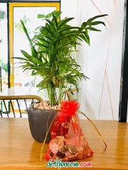 TÚI ĐỎ ĐÁ THIÊN CẦM