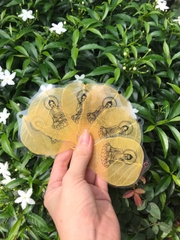 Phật trên Lá Bồ Đề