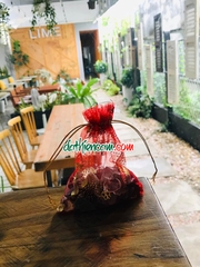 TÚI ĐỎ ĐÁ THIÊN CẦM