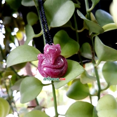 Hồ Tiên Ruby