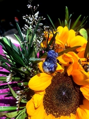 Mặt Tỳ Hưu Lapiz Lazuli